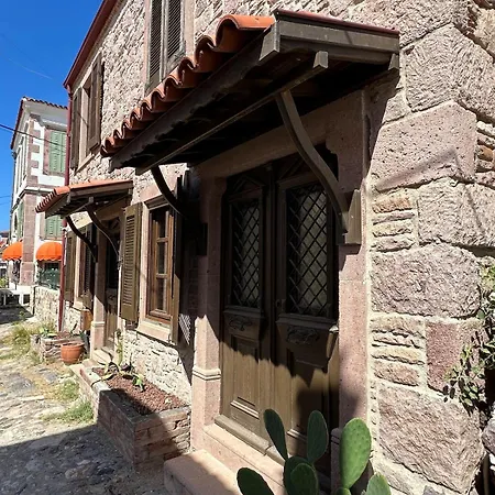 Homeoffice דירה Ayvalı